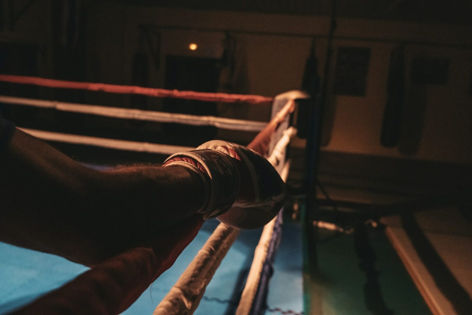 JC Muay Thai photo (Gym's own website (og:image))